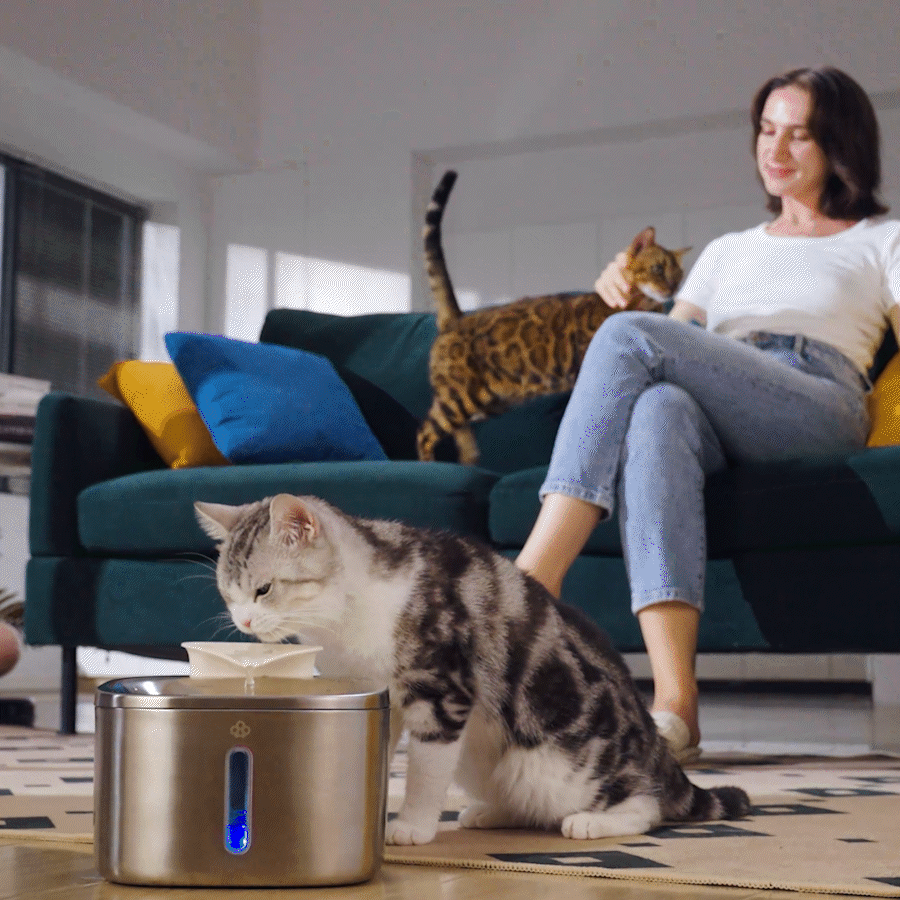 3.5L Corded Pet Water Fountain with Extra Filters