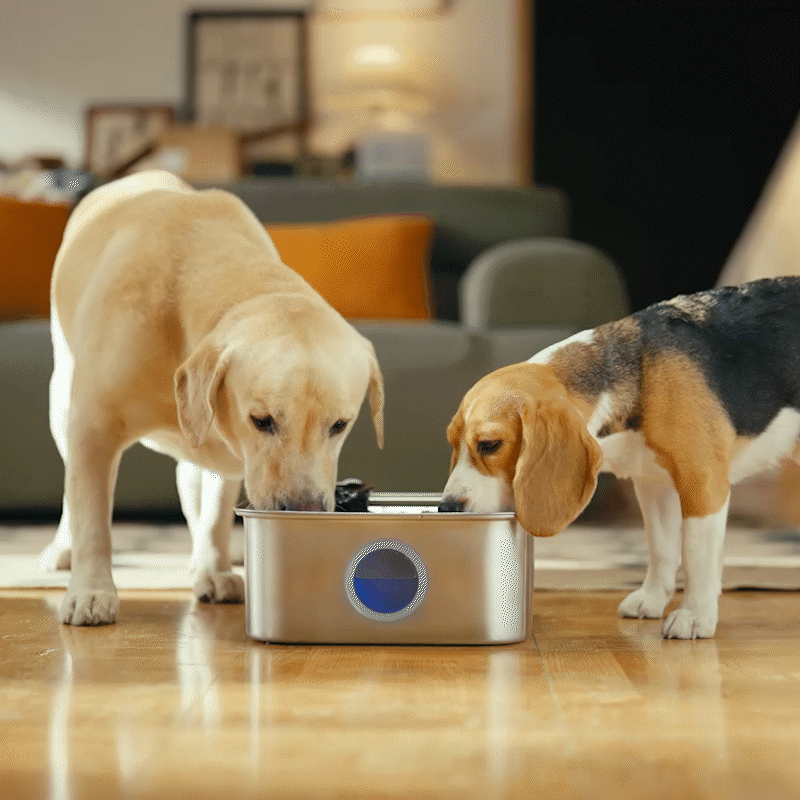 10L Pet Water Fountain with Extra Filters
