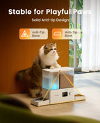2-in-1 Automatic Cat Feeder and Water Dispenser