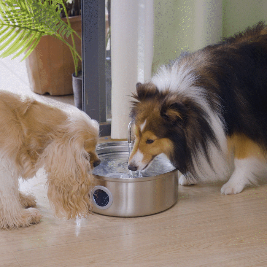 7L Pet Water Fountain with 1.5m Power Cord