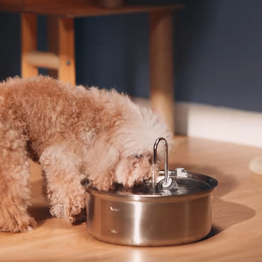 7L Pet Water Fountain with Extra Filters