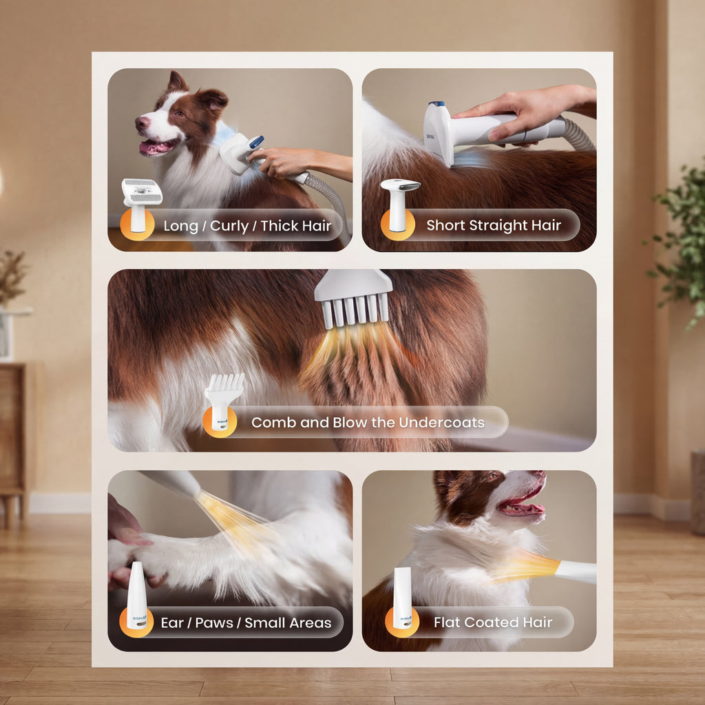 Oneisall Cozy C1 8-in-1 Pet Grooming Vacuum - Dryer Kit