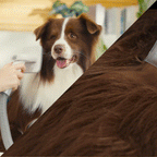 Oneisall Hair - Odor Control Set for Homes with Pets