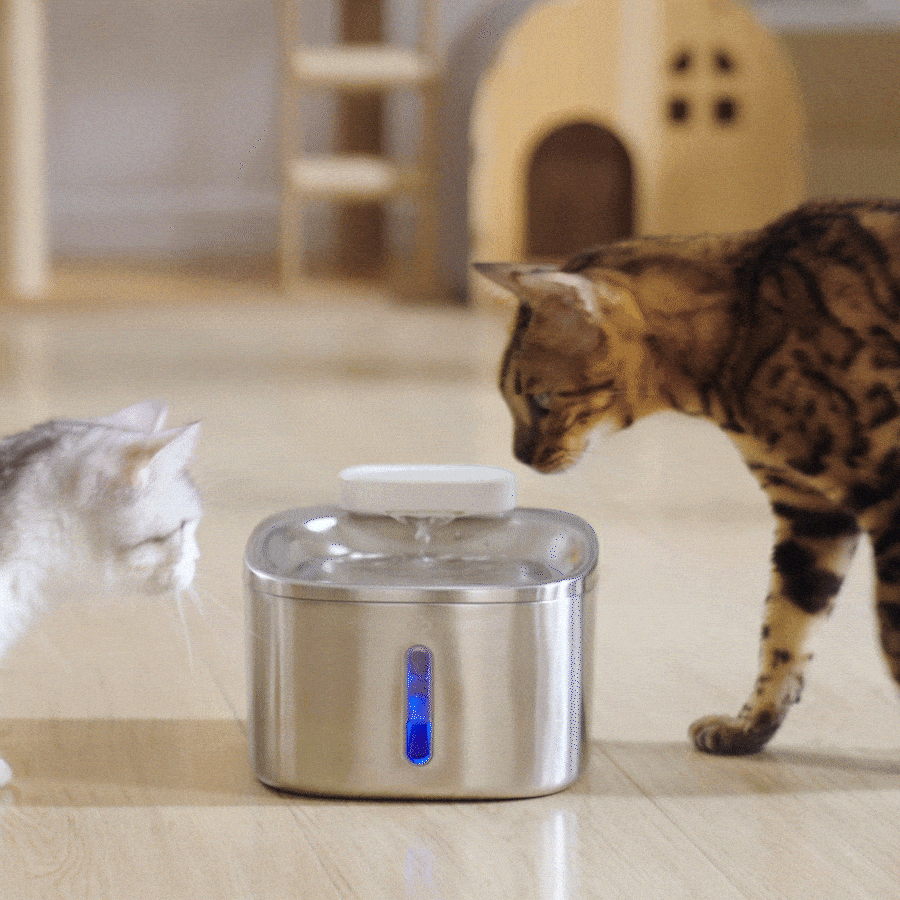 3.5L Cordless Pet Water Fountain – Black - White Couple Set