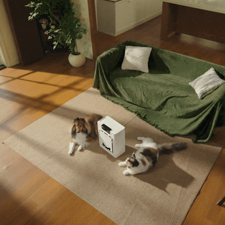 10L Pet Water Fountain for Large Dogs
