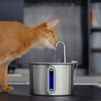 2L Cat Water Fountain with Extra Filters