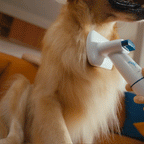 Oneisall Hair - Odor Control Set for Homes with Pets