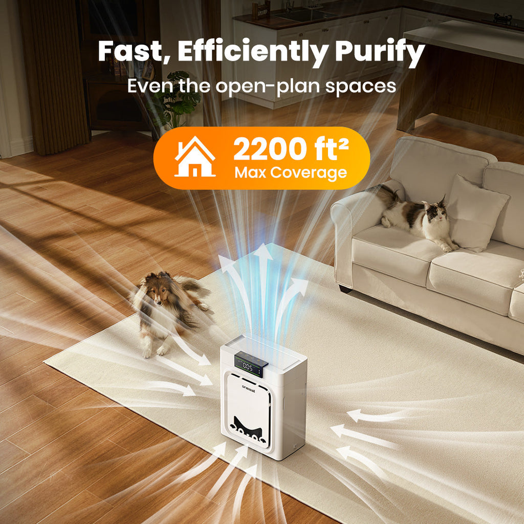 Oneisall Hair - Odor Control Set for Homes with Pets
