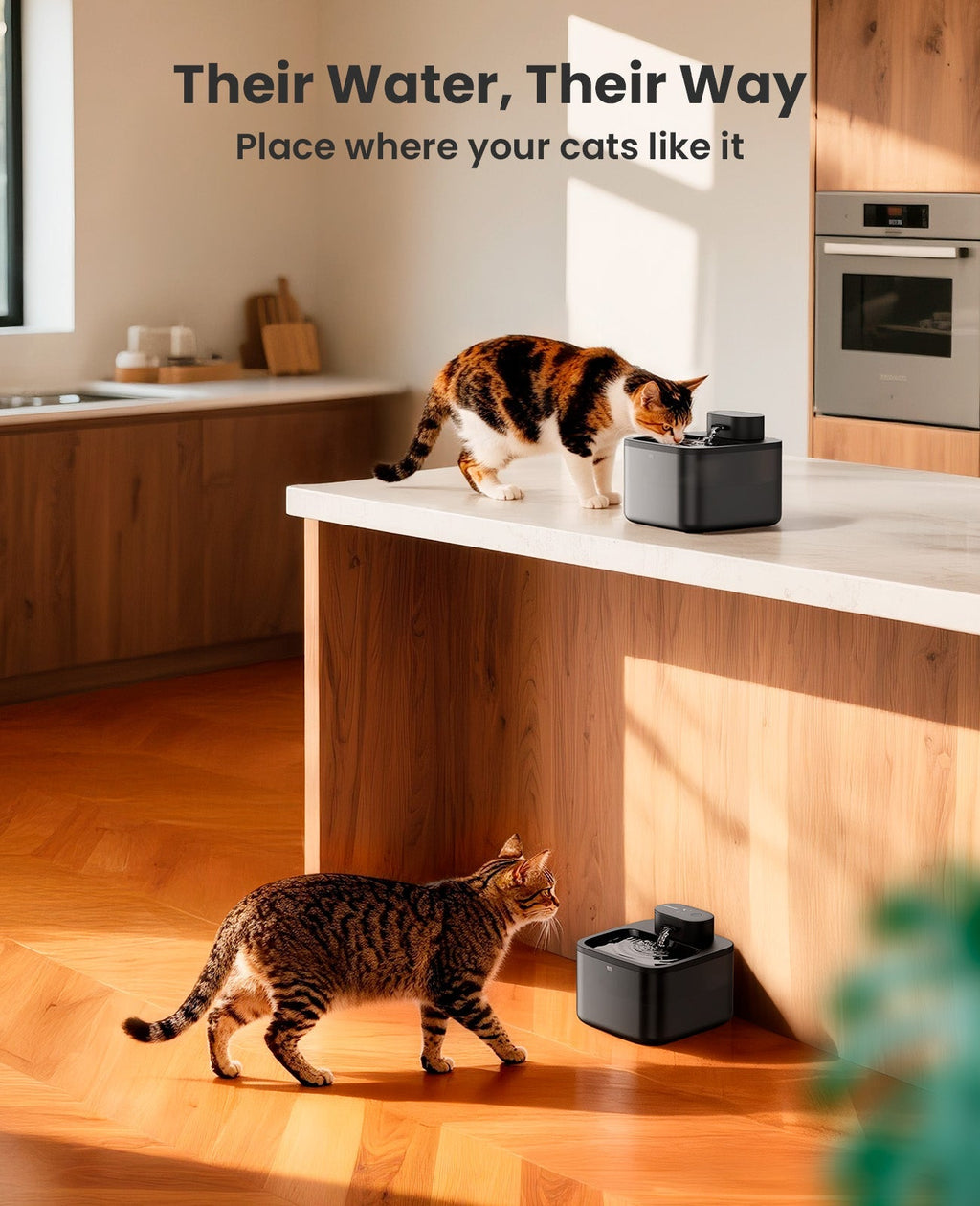 2.2L Cordless Cat Water Fountain