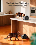 2.2L Cordless Cat Water Fountain