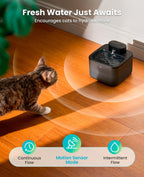 2.2L Cordless Cat Water Fountain