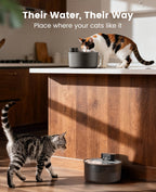 3.2L Cordless Cat Water Fountain