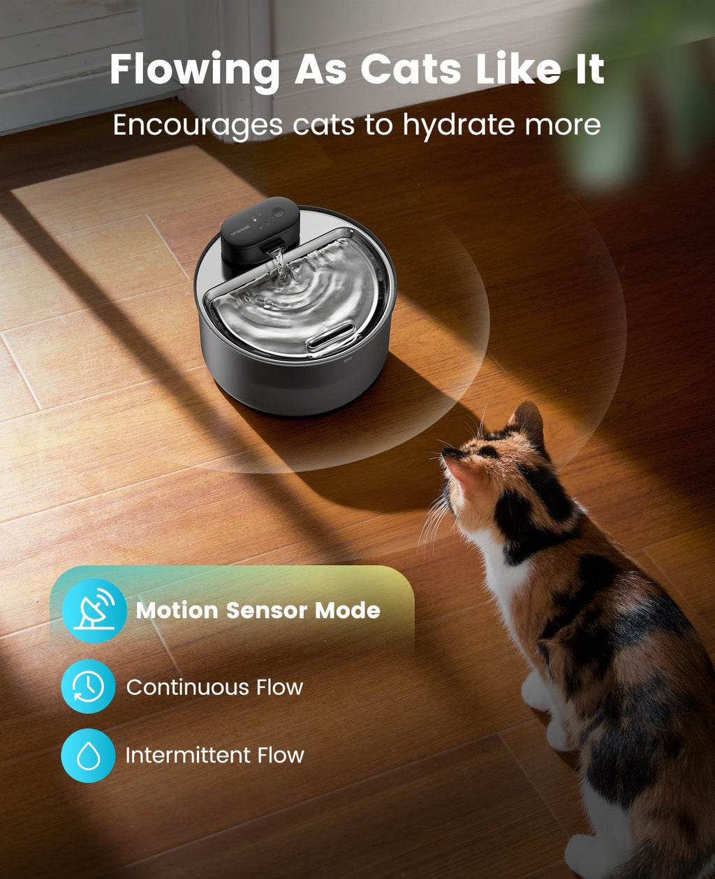 3.2L Cordless Cat Water Fountain