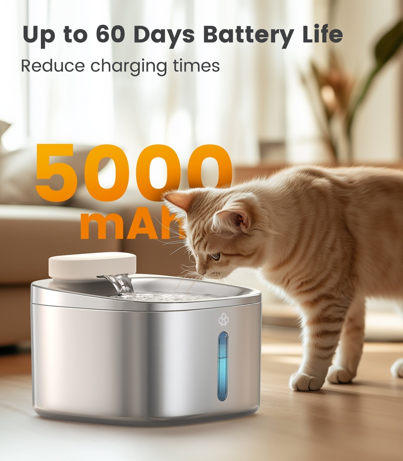 3.5L Cordless Pet Water Fountain Battery Module and Control Panel  Replacement