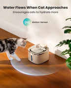 3.5L Cordless Pet Water Fountain – Black - White Couple Set