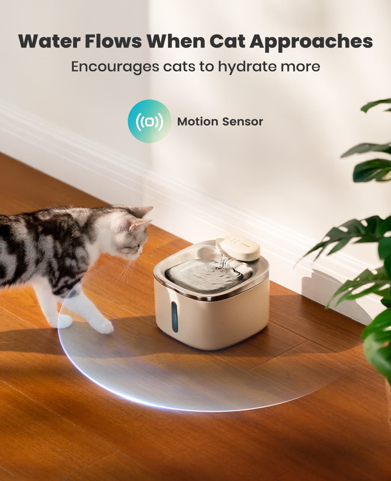 3.5L Cordless Pet Water Fountain – Black - White Couple Set