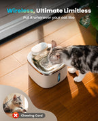 3.5L Cordless Pet Water Fountain – Black - White Couple Set