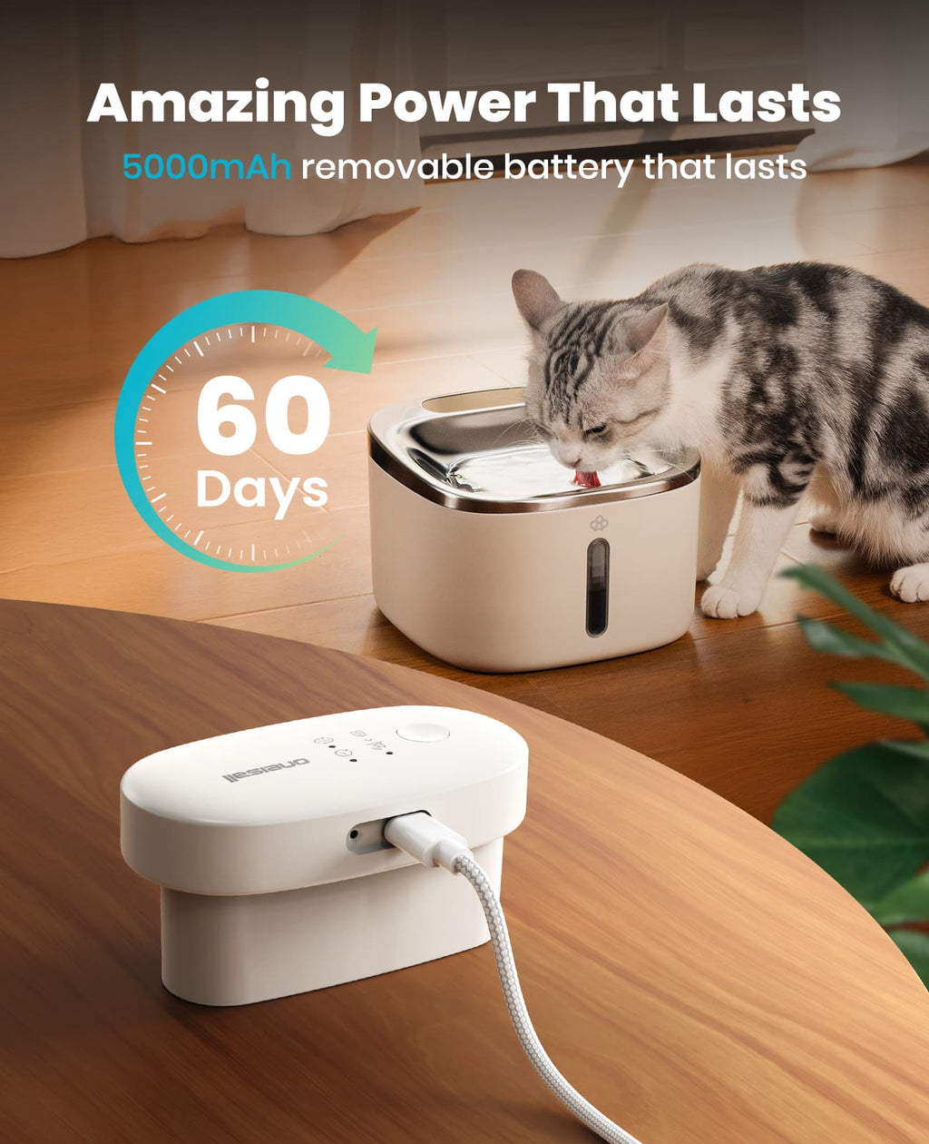 3.5L Cordless Pet Water Fountain – Black - White Couple Set
