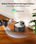 3.5L Cordless Pet Water Fountain – Black - White Couple Set