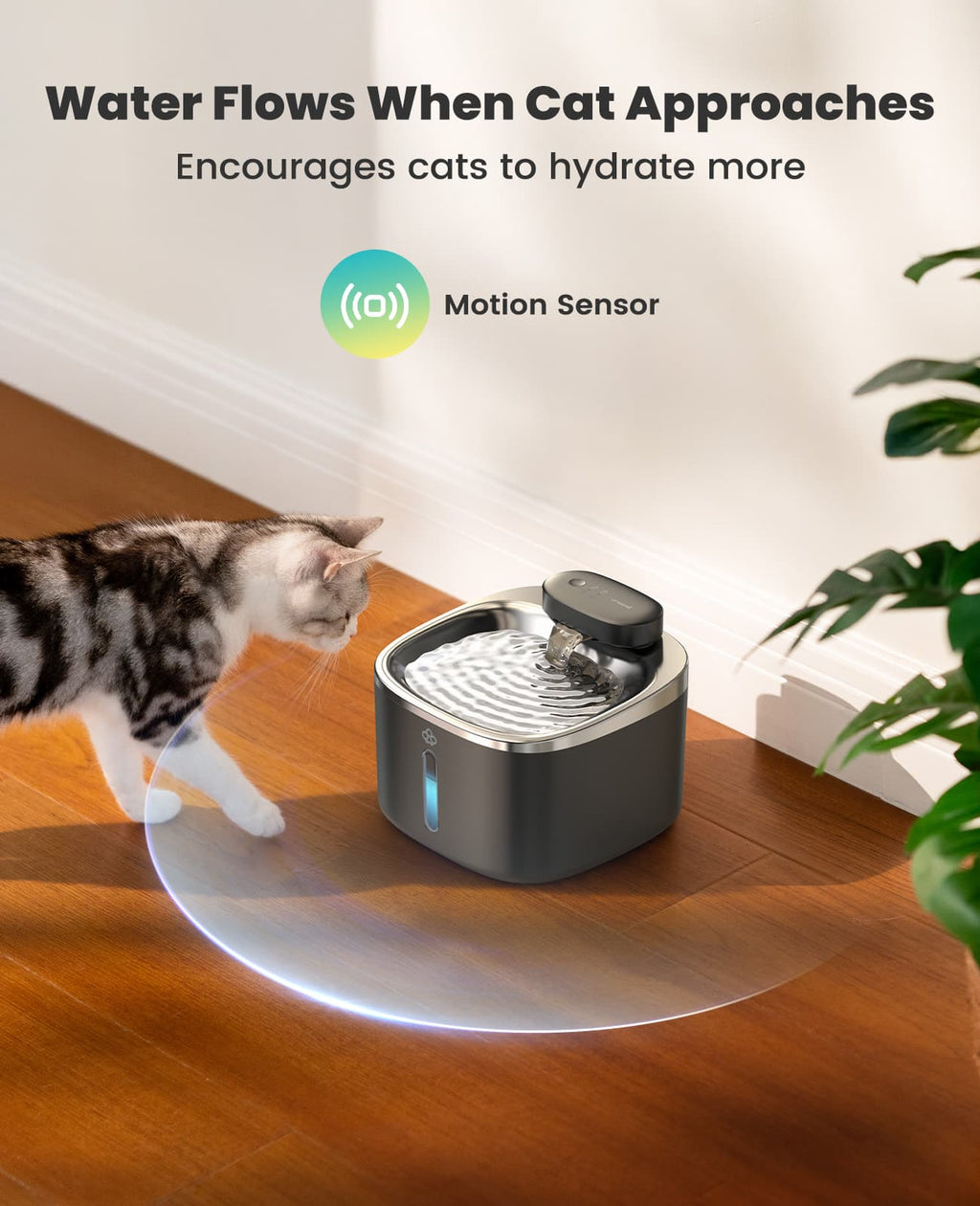 Automatic Cat Litter Box, Feeder - Water Fountain Set