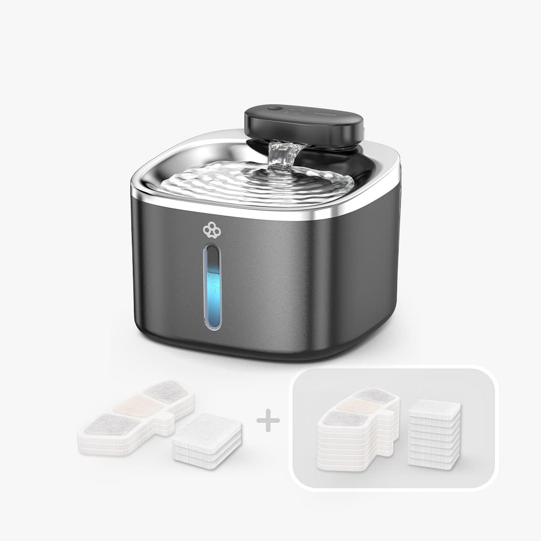 3.5L Cordless Smart Pet Water Fountain Black with Extra Filters