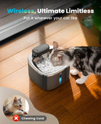 3.5L Cordless Pet Water Fountain – Black - White Couple Set