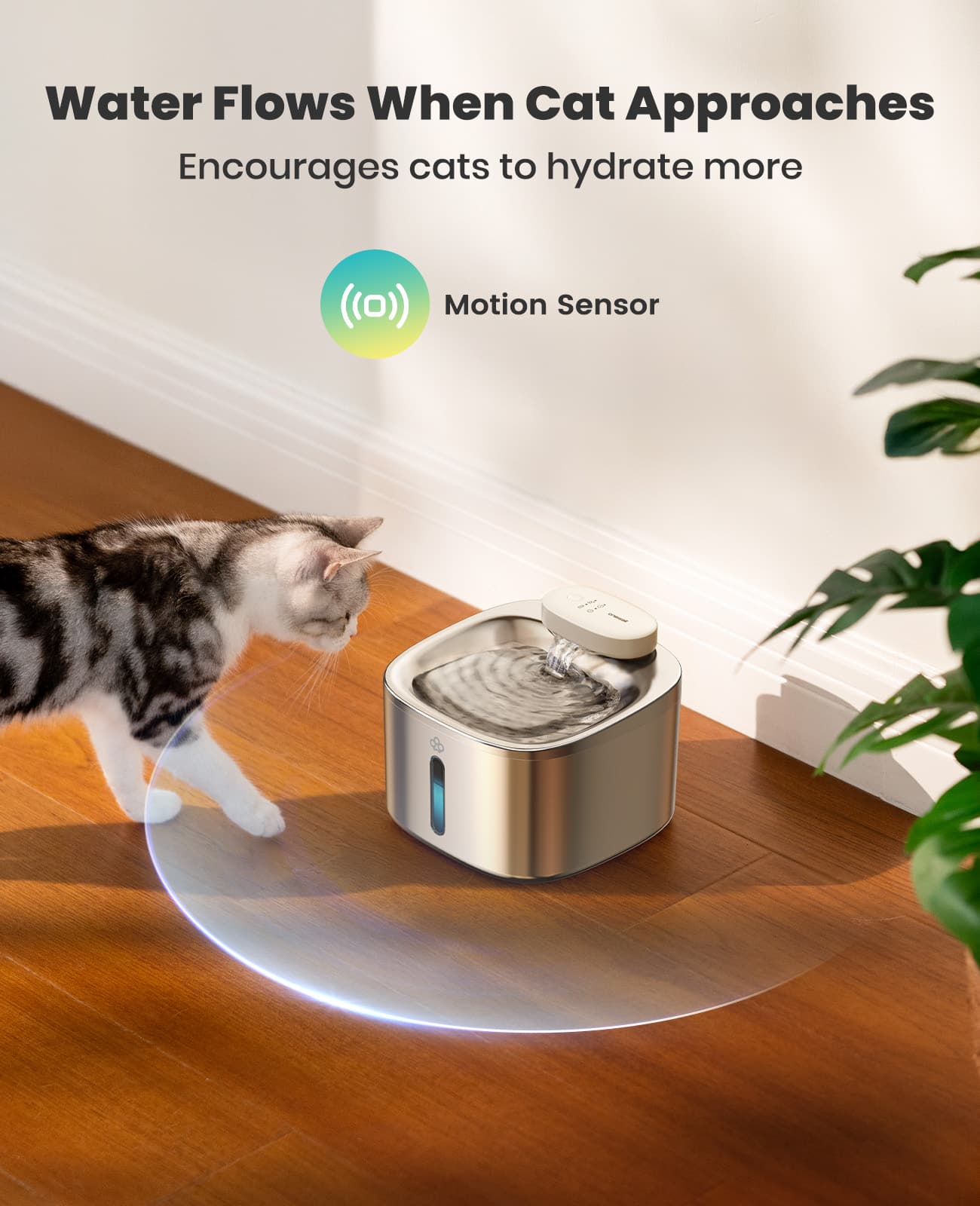 Oneisall 2L Cat Water Fountain - 7L Pet Water Fountain Set