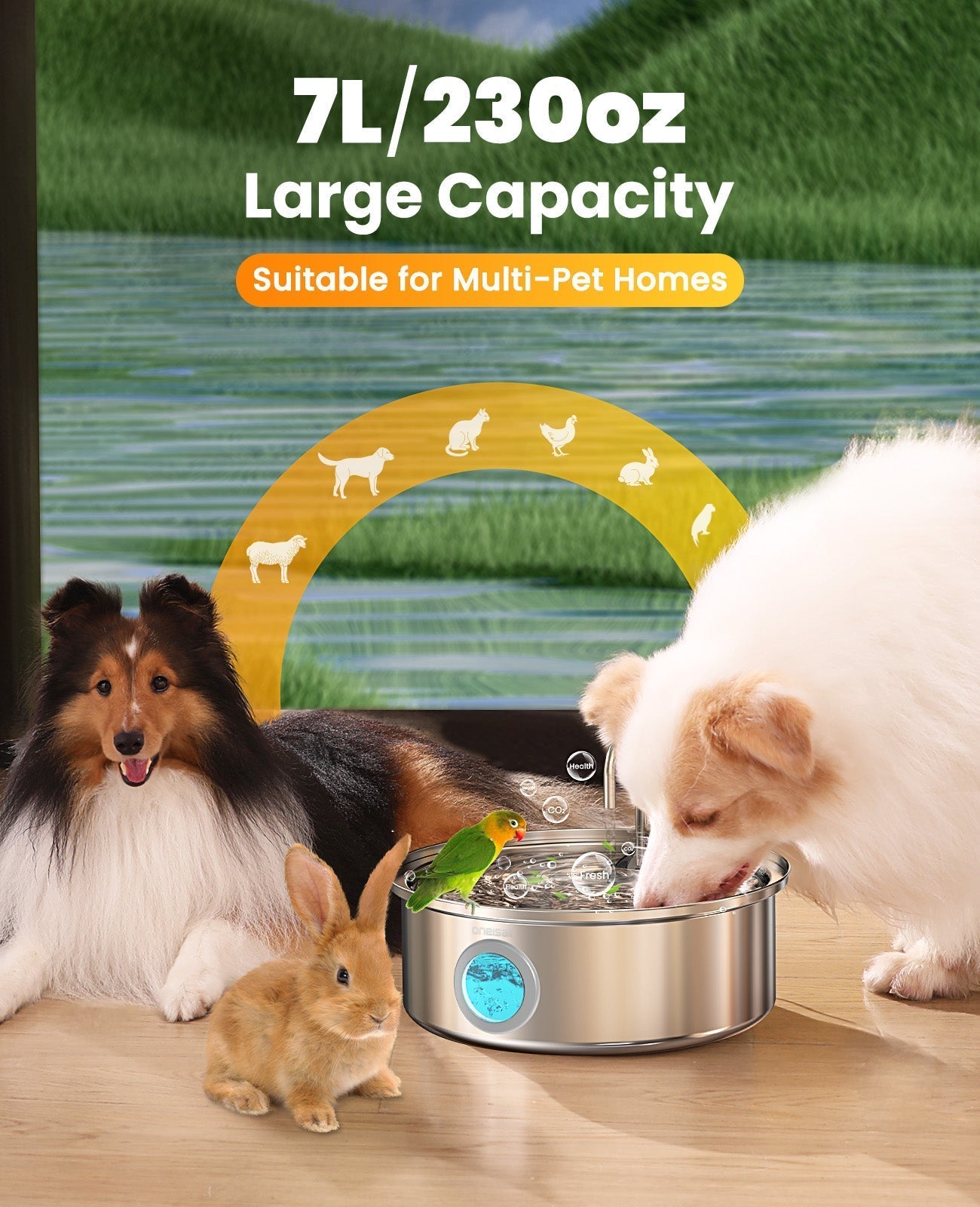 5L Automatic Cat Feeder with APP Control - 7L Pet Water Fountain Set