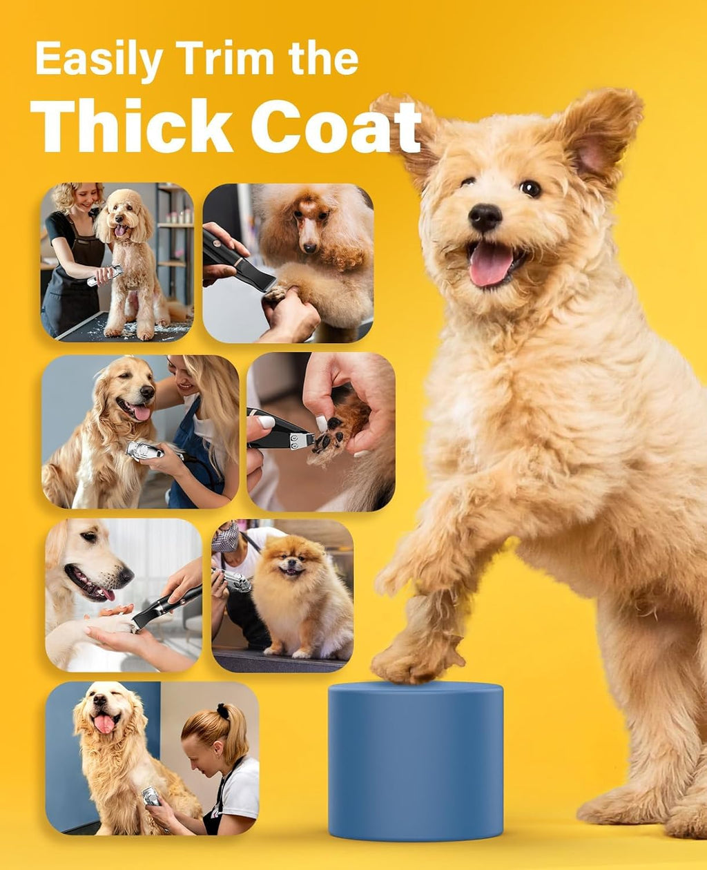 676+P20 Dog Clipper and Paw Trimmer 3-in-1 Set