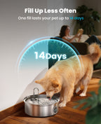7L Pet Water Fountain with Visual Water Level