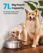 7L Pet Water Fountain with Visual Water Level - Extra Filters