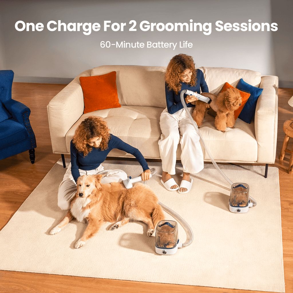 Oneisall Comfy C1 Cordless Pet Grooming Vacuum Kit