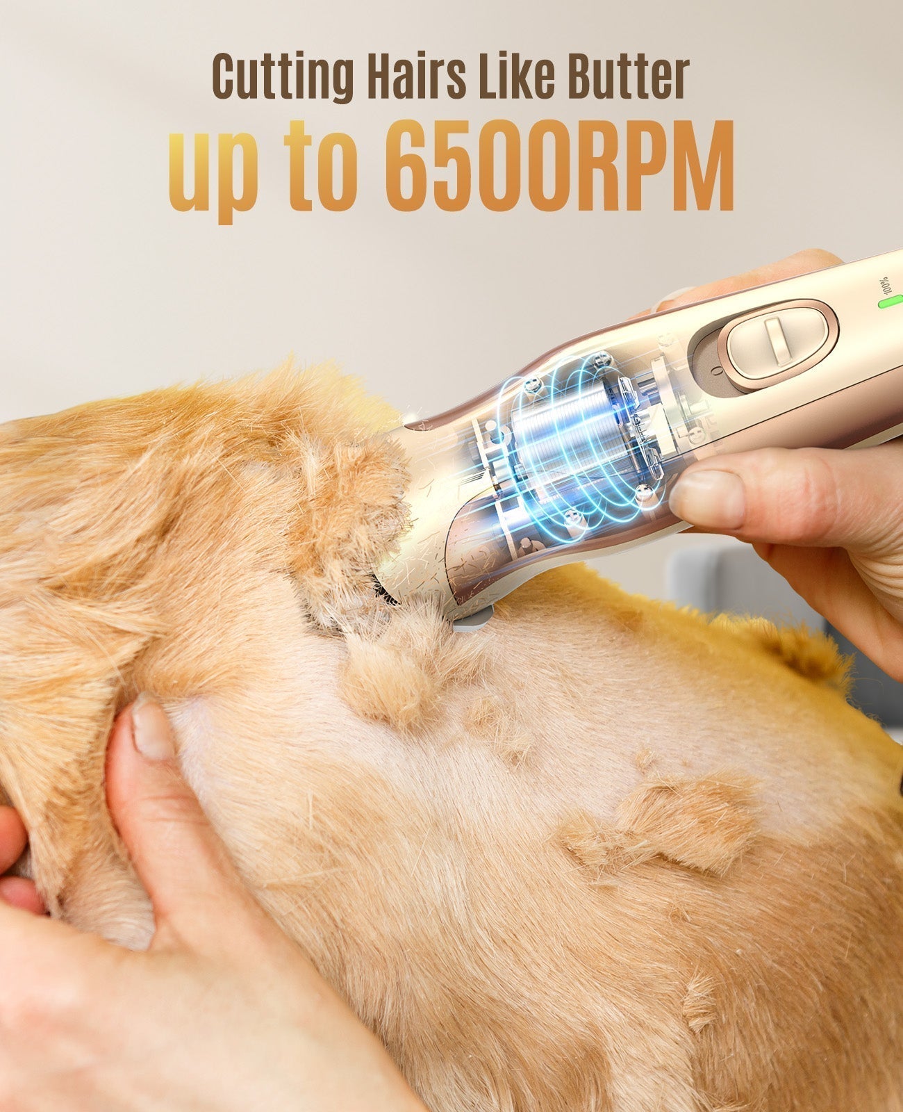 DTJ-002 2 in 1 Dog Clippers with Narrow Blade