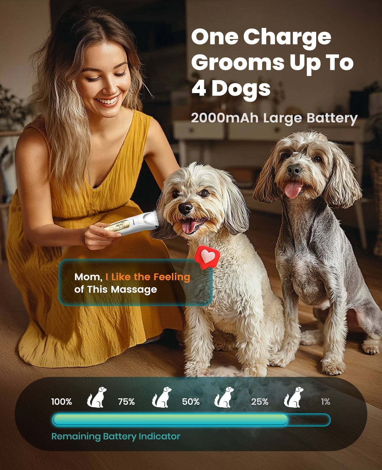 FC10 4-in-1 Cordless Multi-Functional Pet Clippers