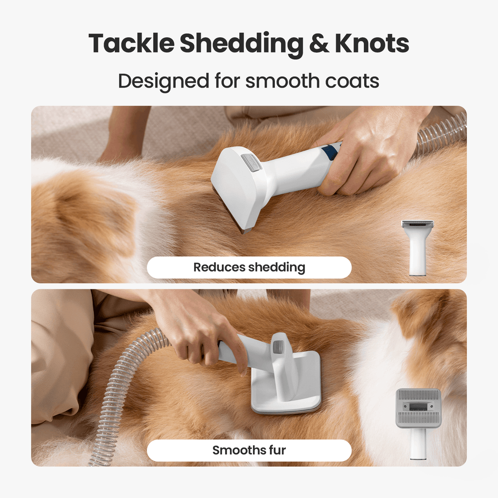 Oneisall Hair - Odor Control Set for Homes with Pets