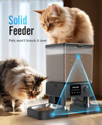 Automatic Cat Litter Box, Feeder - Water Fountain Set