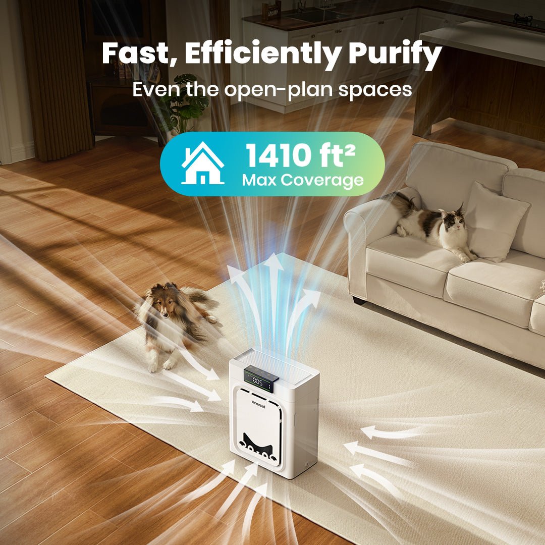 10L Pet Water Fountain for Large Dogs