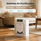 10L Pet Water Fountain for Large Dogs
